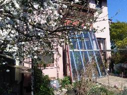 Schönes, geräumiges Reihenhaus mit kleinen Garten in sehr guter Lage! Schönes, geräumiges Reihenhaus mit kleinen Garten in sehr guter Lage!
