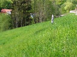Waidhofen an der Ybbs - Günstige Baugründe in sonniger Lage Waidhofen an der Ybbs - Günstige Baugründe in sonniger Lage