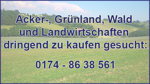 Immobiliensuche