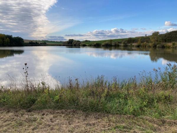 Bernhardsthal Katzelsdorf Großer schöner Fischteich AWZ Immobilien