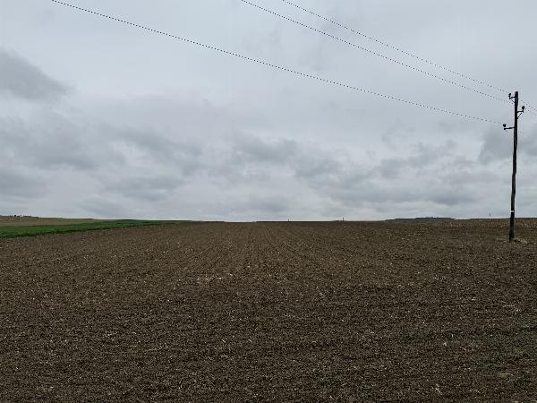 Kogel
