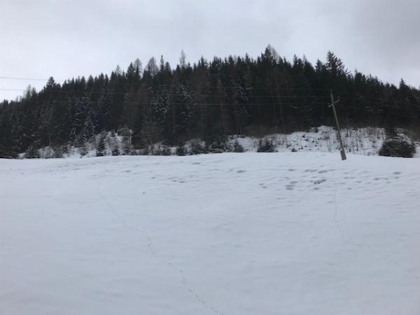 Kuhweide