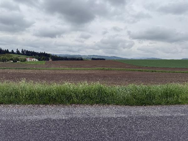 Edlingwiesen